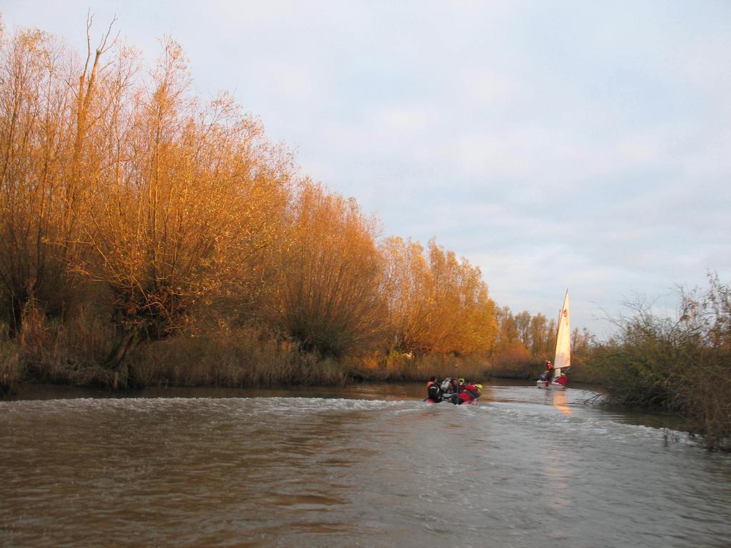 Bed And Breakfast De Biesbosch - In 'T Riet Drimmelen Exterior foto