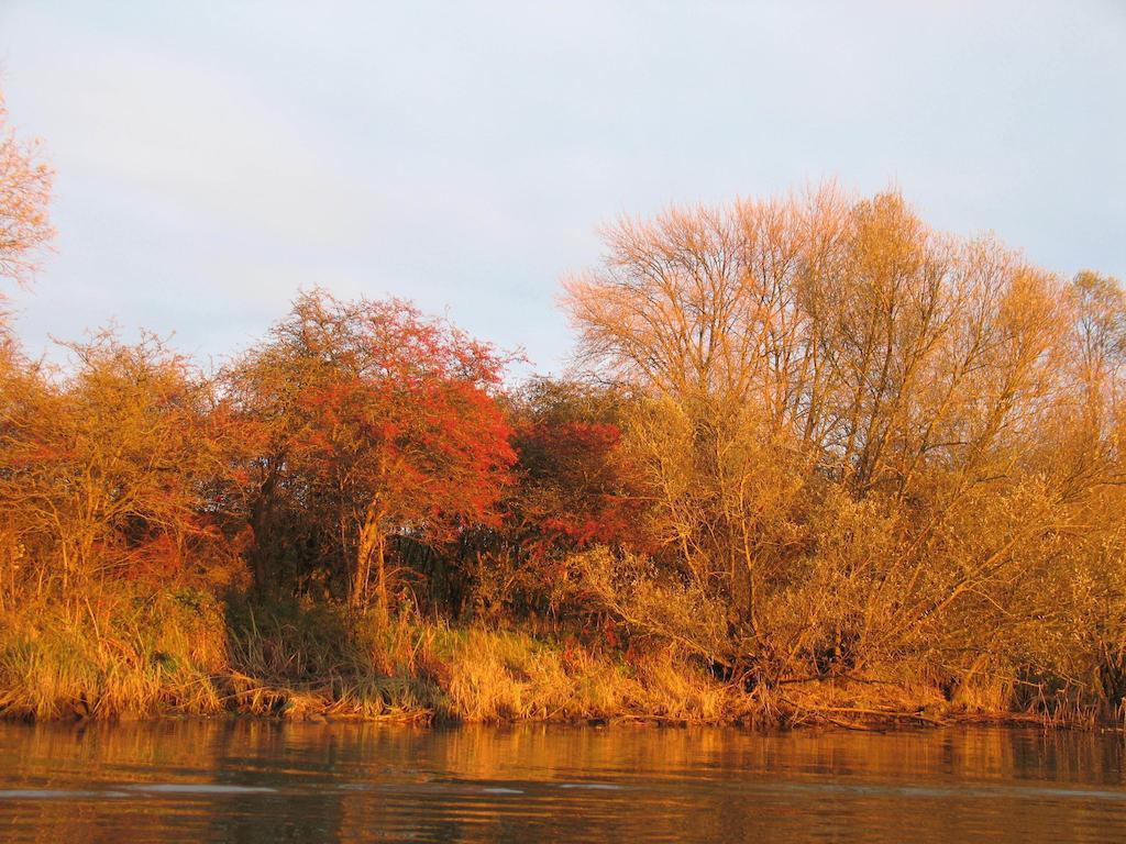 Bed And Breakfast De Biesbosch - In 'T Riet Drimmelen Exterior foto